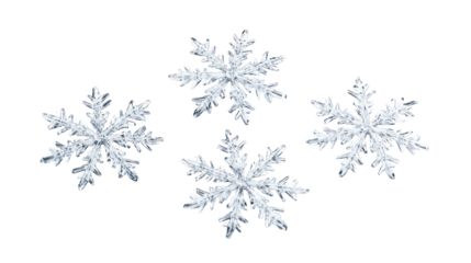 Four realistic snowflakes isolated on transparent background