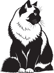 Elegant ragdoll cat silhouette sitting gracefully capturing its majestic beauty and calm demeanor