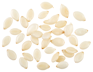 Overhead view of a pile of tiny, pale, oval seeds arranged randomly on a stark black background