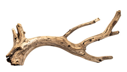 Brown Dry Branch Driftwood for Decorate Nature Object Image Isolated on Transparent Background