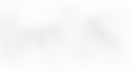 Obraz premium Subtle white gradient background with soft blurred texture, isolated on white background