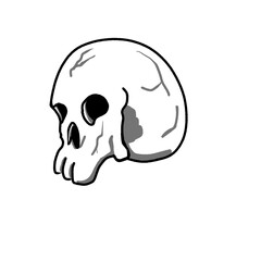 Human skull illustration PNG / Transparent Background