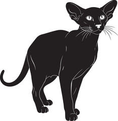 Elegant black siamese cat silhouette with large ears standing gracefully and looking alertly