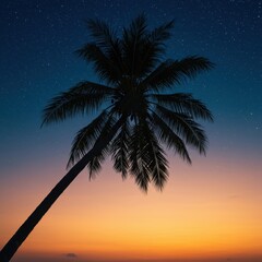 Naklejka premium Tropical evening serenity: A majestic coconut palm tree silhouette frames a deep blue starry night and warm, romantic twilight colors ,nature ,beautiful ,cosmos