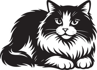 Fototapeta premium ragdoll_cat_resting_chin_on_paws_bw.eps