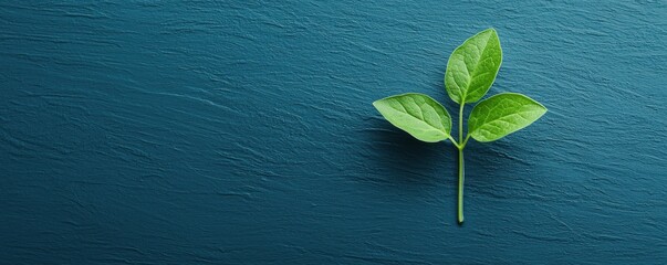 A vibrant green leaf standing out against a textured dark blue background.