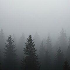 Obraz premium Dense, mysterious natural atmosphere composed of heavy, ethereal gray mist enveloping the environment, providing a perfect background texture ,moody ,water ,dramatic