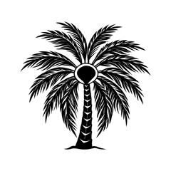 Vector illustration of a tropical palm tree with a distinctive hollow trunk and lush green foliage scalable graphic