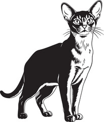 Elegant siamese cat silhouette with detailed markings full body pose capturing graceful feline form and distinctive features
