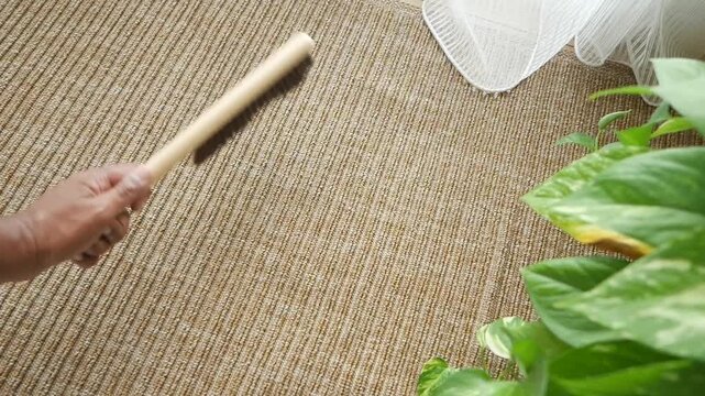 Cleaning a rug with a lint roller at home