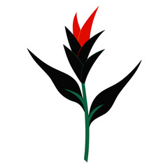 heliconia flortropical silhouette on white