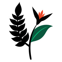 heliconia jade vine silhouette on white background