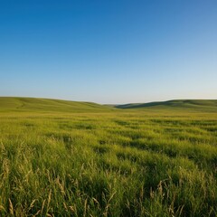 Obraz premium Wide open landscape of rolling green hills covered in native grasses stretching to meet the vast blue summer sky. Peaceful natural scene ,steppe ,field ,daylight