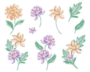 Vintage Yellow and Purple Rose Watercolor Flower