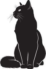 Elegant black cat silhouette sitting gracefully with white accents observing its surroundings