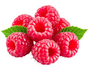 Pile of vibrant pink raspberries with green leaves, isolated on a black background
