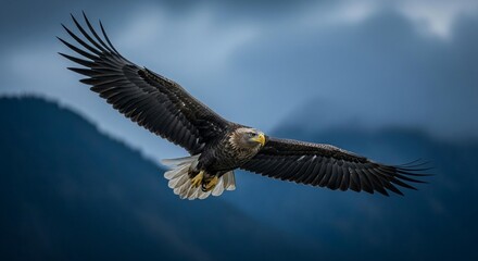 Obraz premium Majestic eagle soaring powerfully with wings spread wide against a dramatic cloudy sky and blurred mountain backdrop, symbolizing freedom and strength