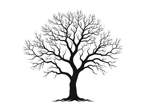 Black silhouette of a leafless tree against a stark white backdrop