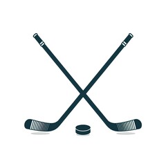 hockey stick and puck