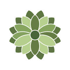 Geometric floral pattern green nature abstract mandala decoration organic flower design element vector