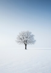 Fototapeta premium Solitary deciduous tree covered in frost standing alone in a vast, silent, deeply snow-covered winter field under diffuse light ,light ,peaceful ,ice