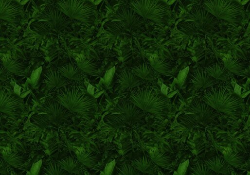 Fototapeta Seamless green tropical foliage pattern. Repeating background featuring dense jungle leaves, palm fronds, and organic botanical motifs ,spring ,frond ,leafy