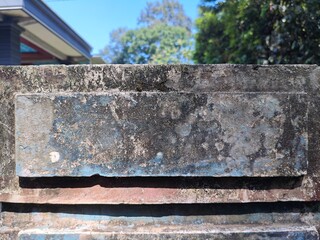 Close up of a Weathered and Textured Concrete Wall with Peeling Blue Paint and Organic Growth,...