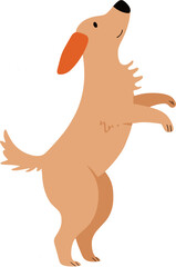 Dog vector illustration