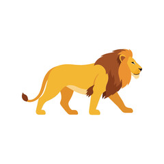 Majestic male lion walking confidently side profile safari wildlife animal illustration vector