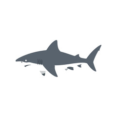 Majestic great white shark swimming ocean predator marine wildlife sea creature underwater vector