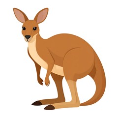Brown kangaroo vector illustration on white background, standing