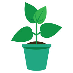 Basil Plant in Pot Vector on White Background