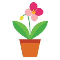 Orchid in Decorative Pot Vector Design on White Background