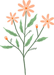 Wildflower with small orange daisy Illustration Flat Minimalist Style