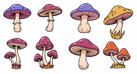 Colorful mushrooms collection with transparent background