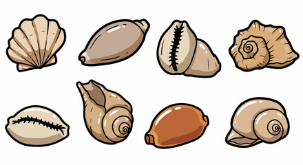 Seashells collection with transparent background