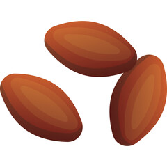 Three brown oval seeds with smooth texture and subtle shading isolated on a white background representing healthy food or natural ingredients