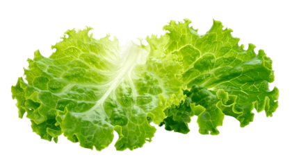Two vibrant, fresh green lettuce leaves overlap against a black background, their edges slightly jagged