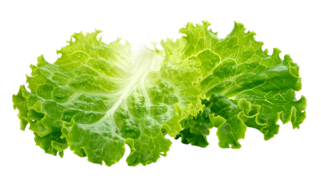 Two vibrant, fresh green lettuce leaves overlap against a black background, their edges slightly jagged
