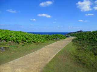 Cape Hedo, Okinawa, Japan - Diorama Effect