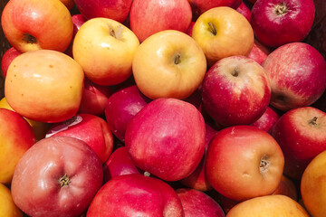 Fresh red apples displayed at farmers market. Variety of shiny edible produce for grocery retail concepts.