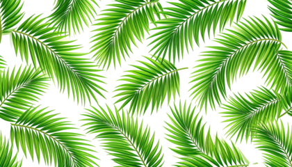 Vibrant green palm fronds overlapping, forming a lush, dense pattern against a contrasting black background