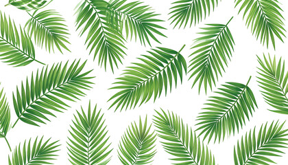Vivid green palm fronds layered against a stark black background, evoking a tropical vibe