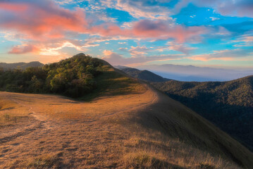 Mountain landscape at sunset. forest and green slopes