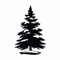 Silhouette of a detailed evergreen fir tree, isolated on white background.