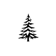 Silhouette of a detailed evergreen tree, isolated on a white background.