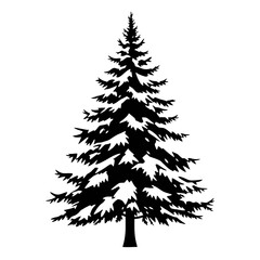 Silhouette of a tall, evergreen pine tree with dense branches, isolated on a white background.