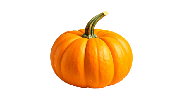 Vibrant orange pumpkin sits against a black background, showcasing its ribbed texture and curved stem