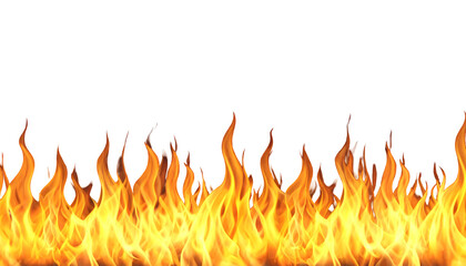 Vivid orange flames rising from a base, isolated against a stark black background creating a dramatic effect