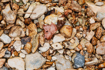 Nature background